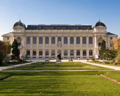 Historic Golden Pieces Taken in Daring Raid at France's National Institution