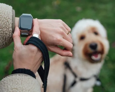 The Truth About Smartwatches? Living Improves Lacking a Hectoring Device on Your Wristwear